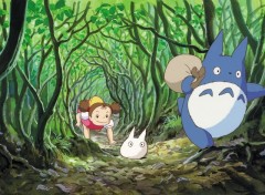 Wallpapers Cartoons Totoro