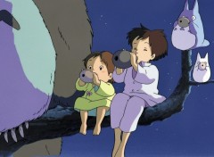 Wallpapers Cartoons Totoro