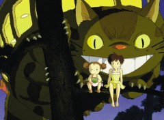 Wallpapers Cartoons Totoro