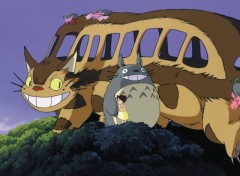 Wallpapers Cartoons Totoro