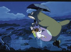 Wallpapers Cartoons Totoro