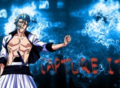 Fonds d'cran Manga Grimmjow - Capture It