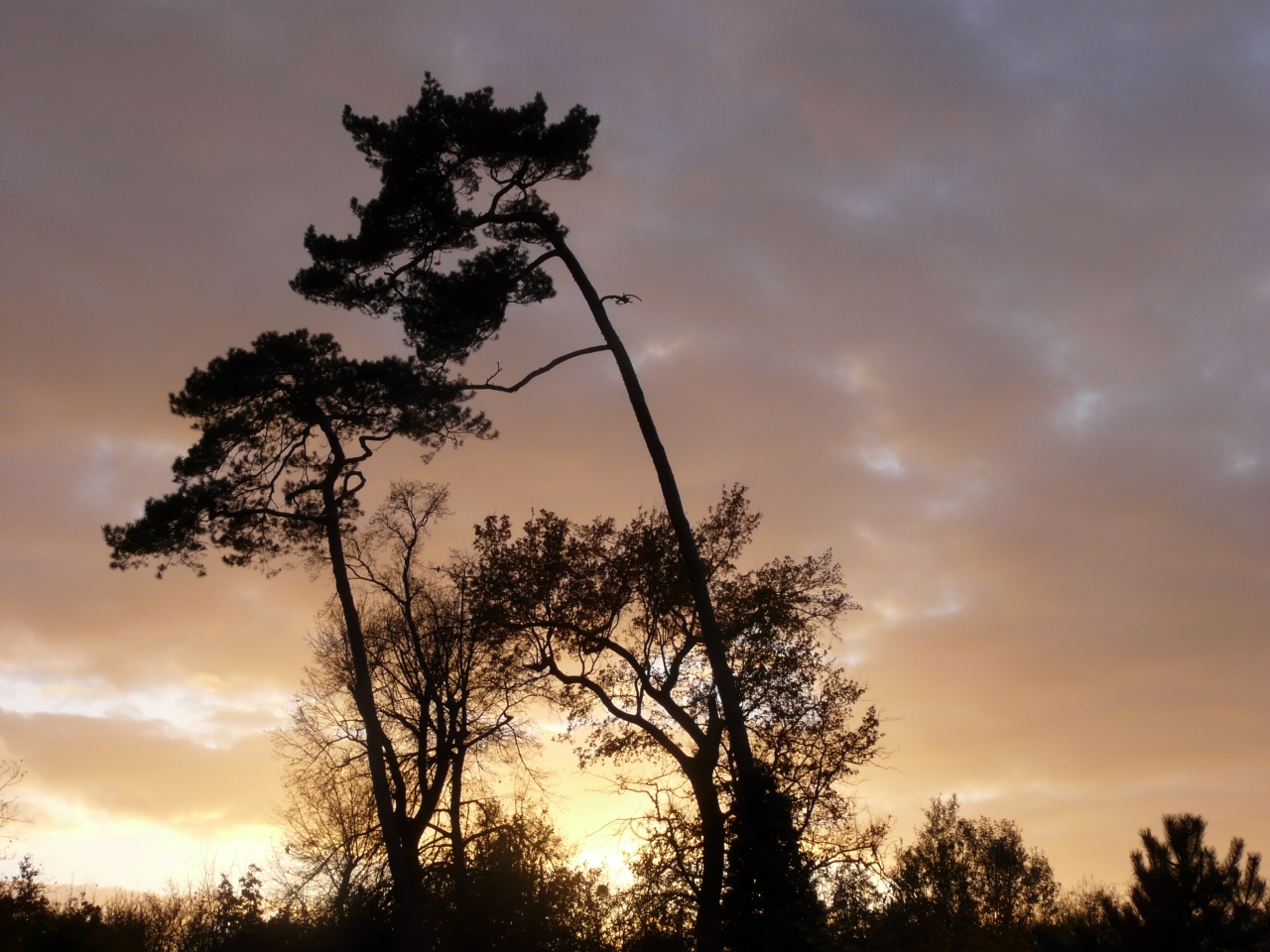 Fonds d'cran Voyages : Europe France > Ile-de-France coucher de soleil au bois de vincennes