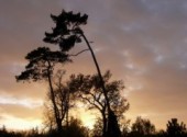 Fonds d'cran Voyages : Europe coucher de soleil au bois de vincennes