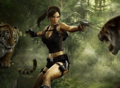 Fonds d'cran Jeux Vido Tomb Raider Underworld