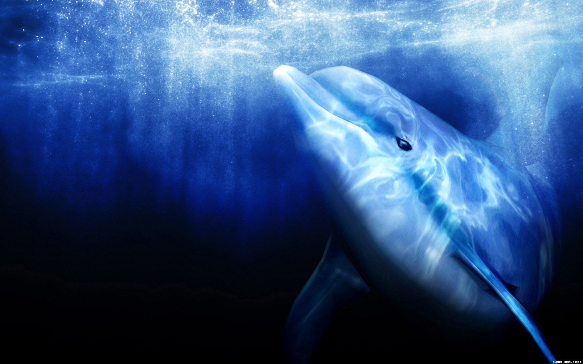 Wallpapers Video Games Ecco the dolphin Ecco the Dolphin