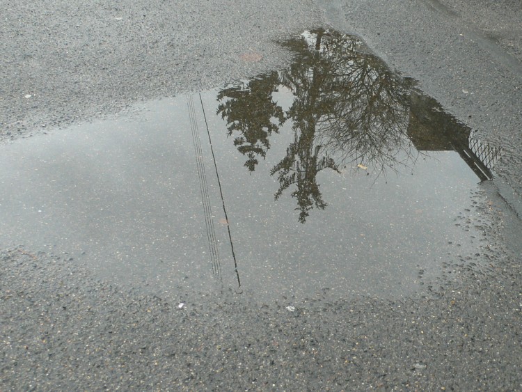 Fonds d'cran Nature Eau - Reflets Camaeu de gris aprs la pluie