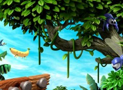 Fonds d'cran Jeux Vido Donkey Kong Jungle Climber