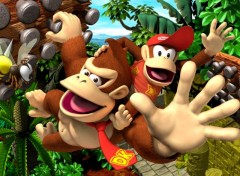 Fonds d'cran Jeux Vido Donkey Kong Jungle Climber