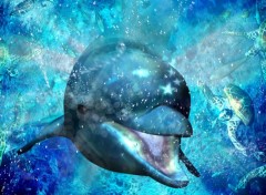 Fonds d'cran Jeux Vido Ecco the Dolphin