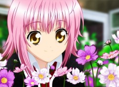 Wallpapers Manga shugo chara