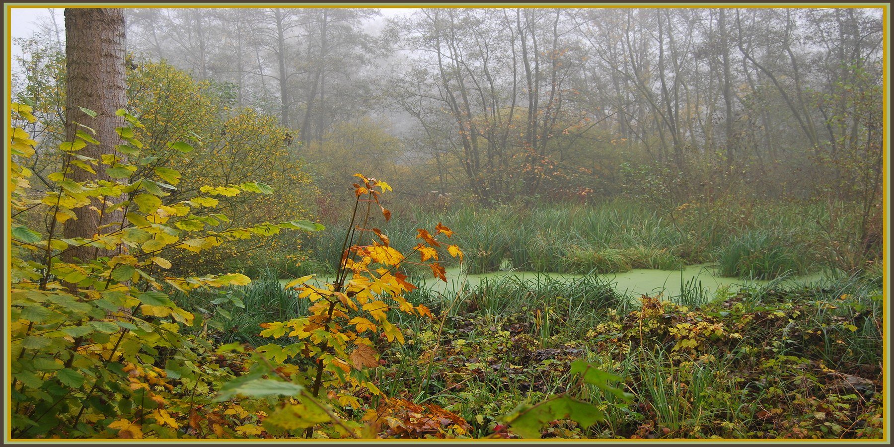 Wallpapers Nature Rivers - Torrents La Somme et ses marcages