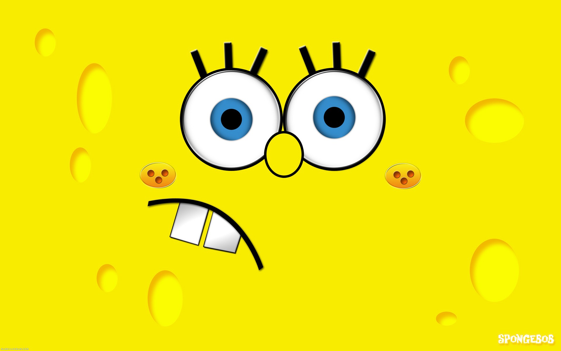 Wallpapers Cartoons SpongeBob SquarePants Bob l'ponge