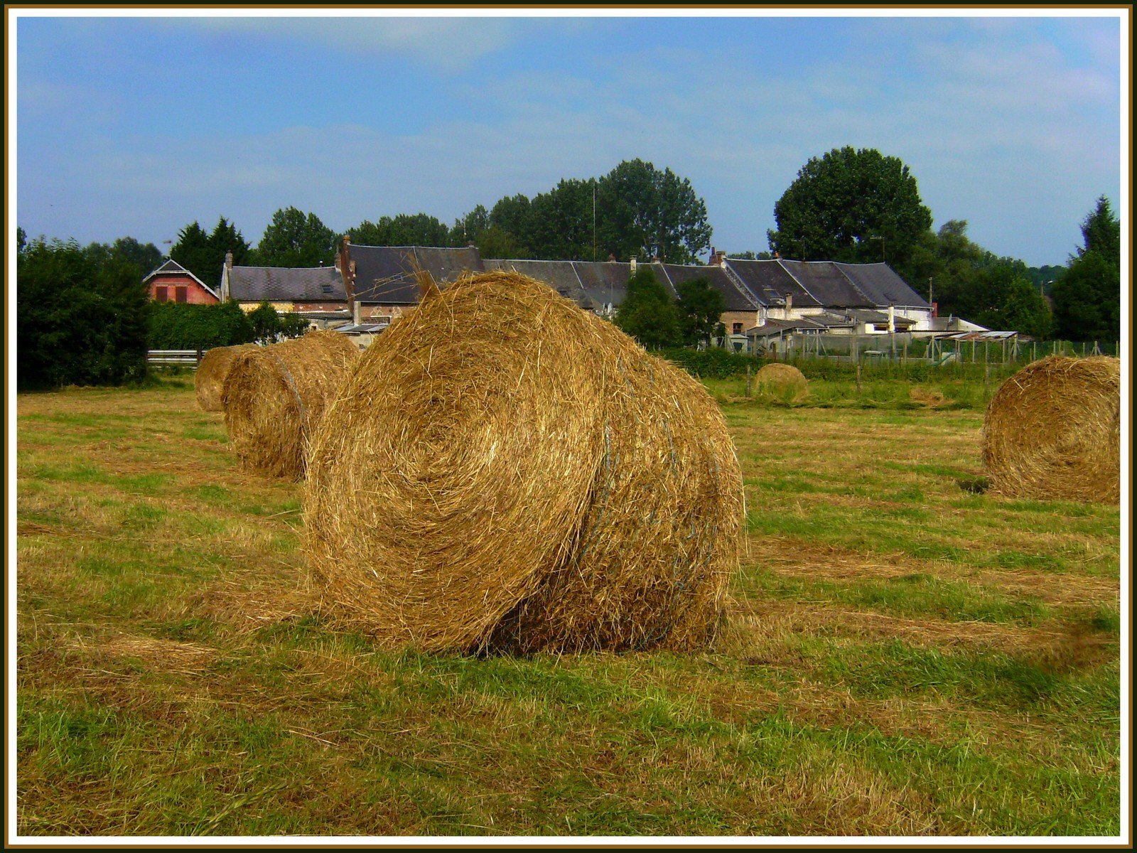 Fonds d'cran Nature Champs - Prairies Meules dans le champ