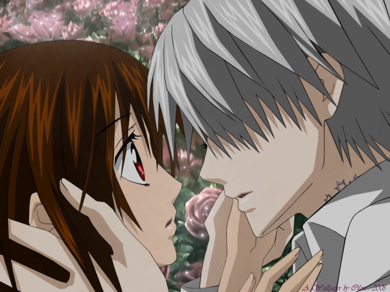 Fonds d'cran Manga Vampire Knight yuki x zero