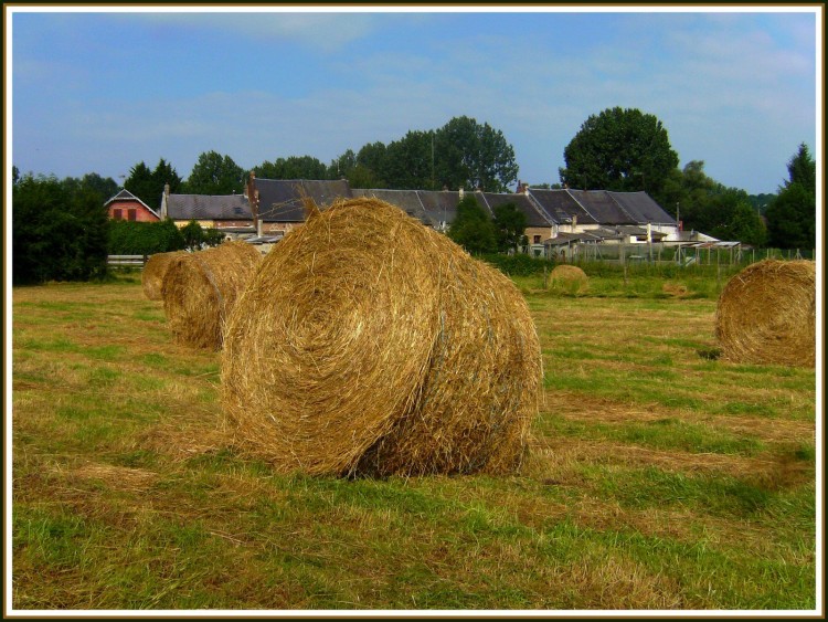 Fonds d'cran Nature Champs - Prairies Meules dans le champ