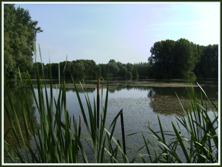 Fonds d'cran Nature Lacs - Etangs Etang de Vendeuil (02)