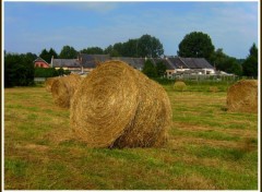 Fonds d'cran Nature Meules dans le champ