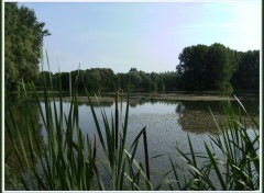 Fonds d'cran Nature Etang de Vendeuil (02)