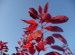 Fonds d'cran Nature un bain de soleil