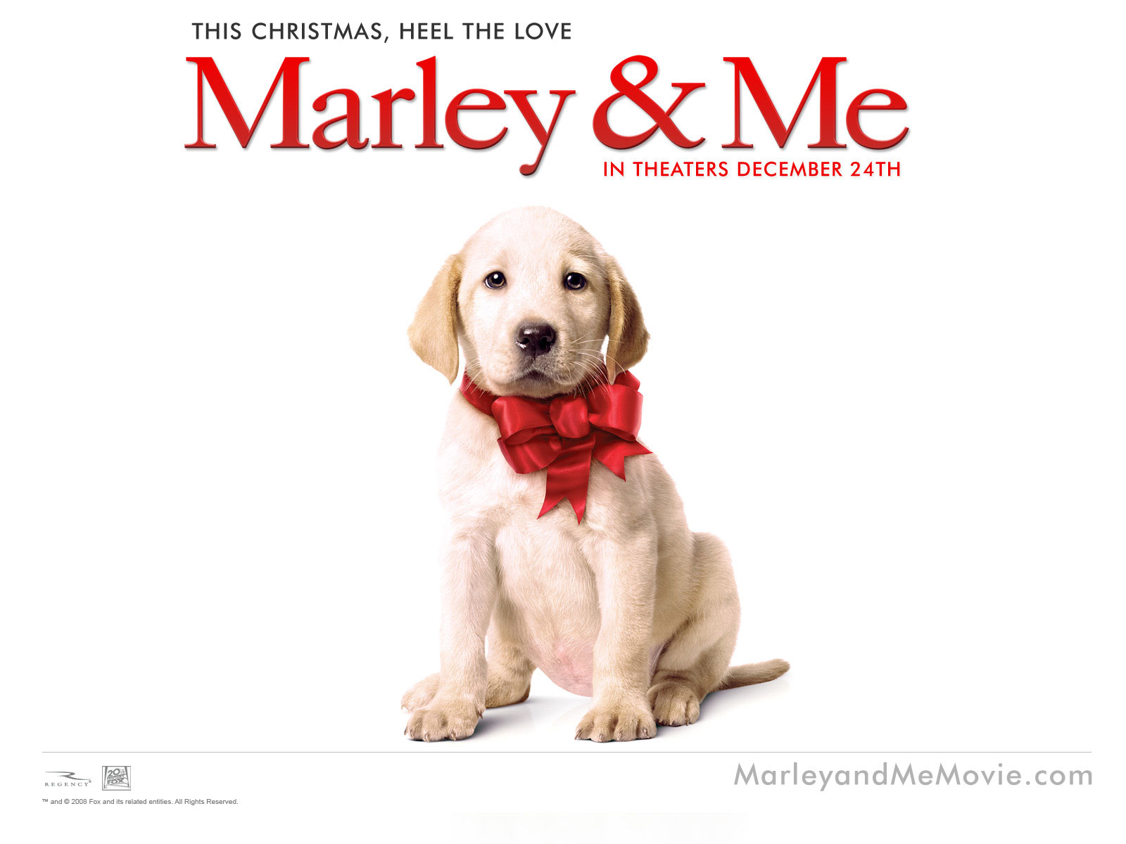 Wallpapers Movies Marley and Me 