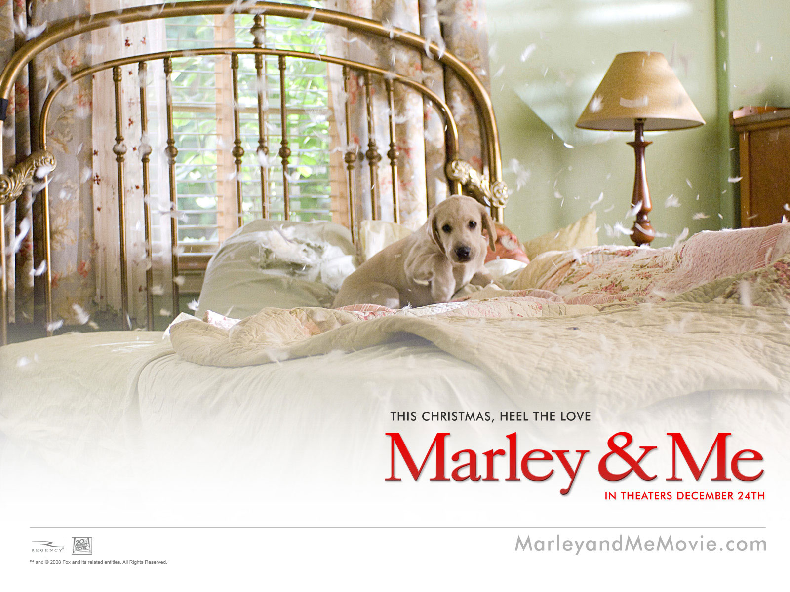 Wallpapers Movies Marley and Me 