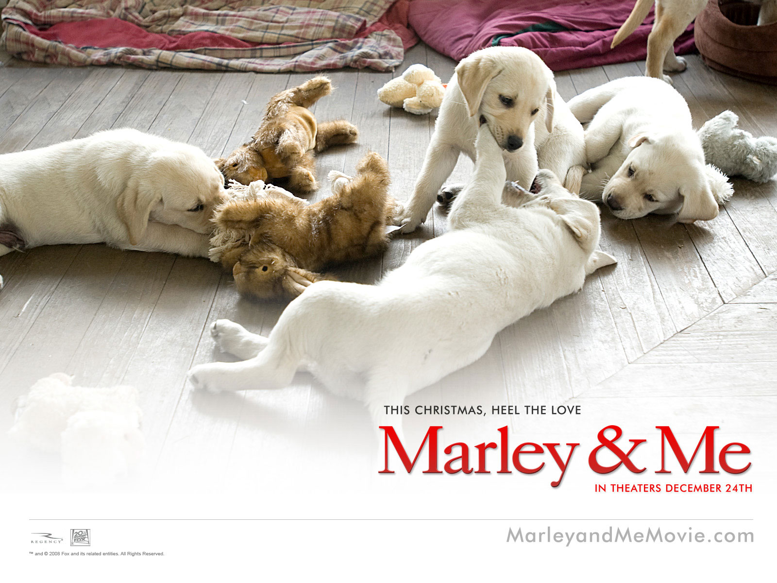 Wallpapers Movies Marley and Me 