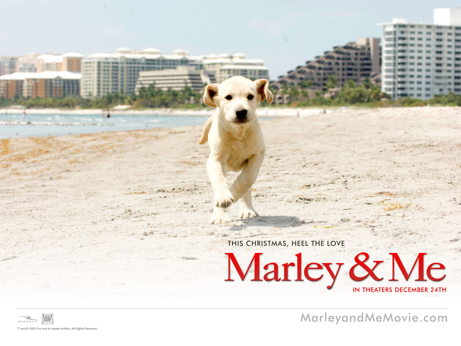 Wallpapers Movies Marley and Me 