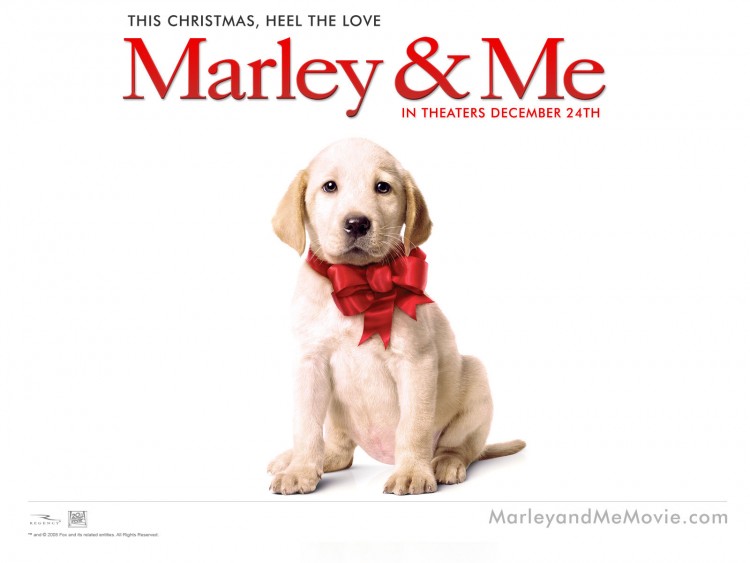 Wallpapers Movies Marley and Me Wallpaper N220300