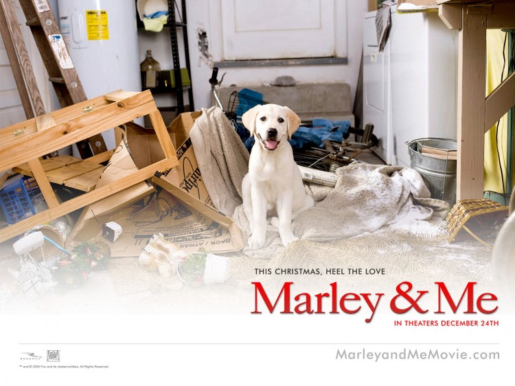 Fonds d'cran Cinma Marley and Me Wallpaper N220305