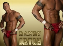 Fonds d'cran Sports - Loisirs Randy Orton