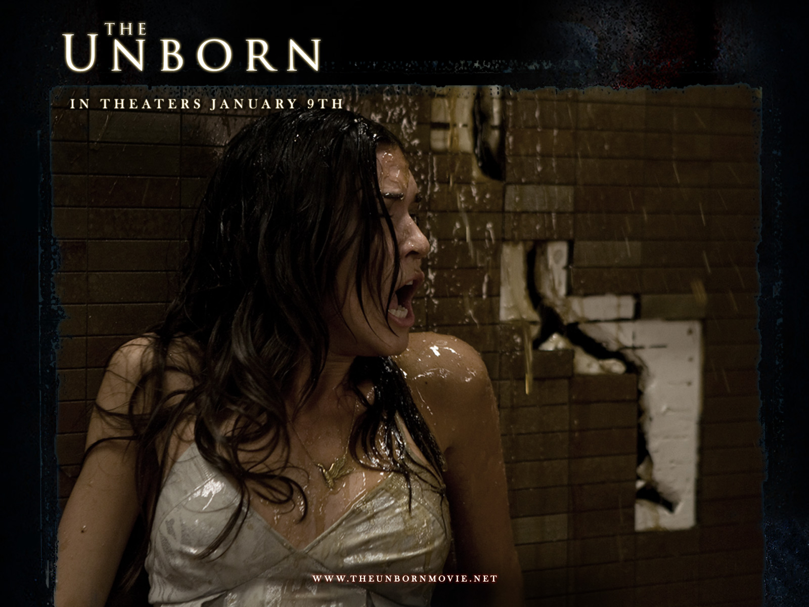 Wallpapers Movies The Unborn 