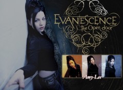 Fonds d'cran Musique amy lee