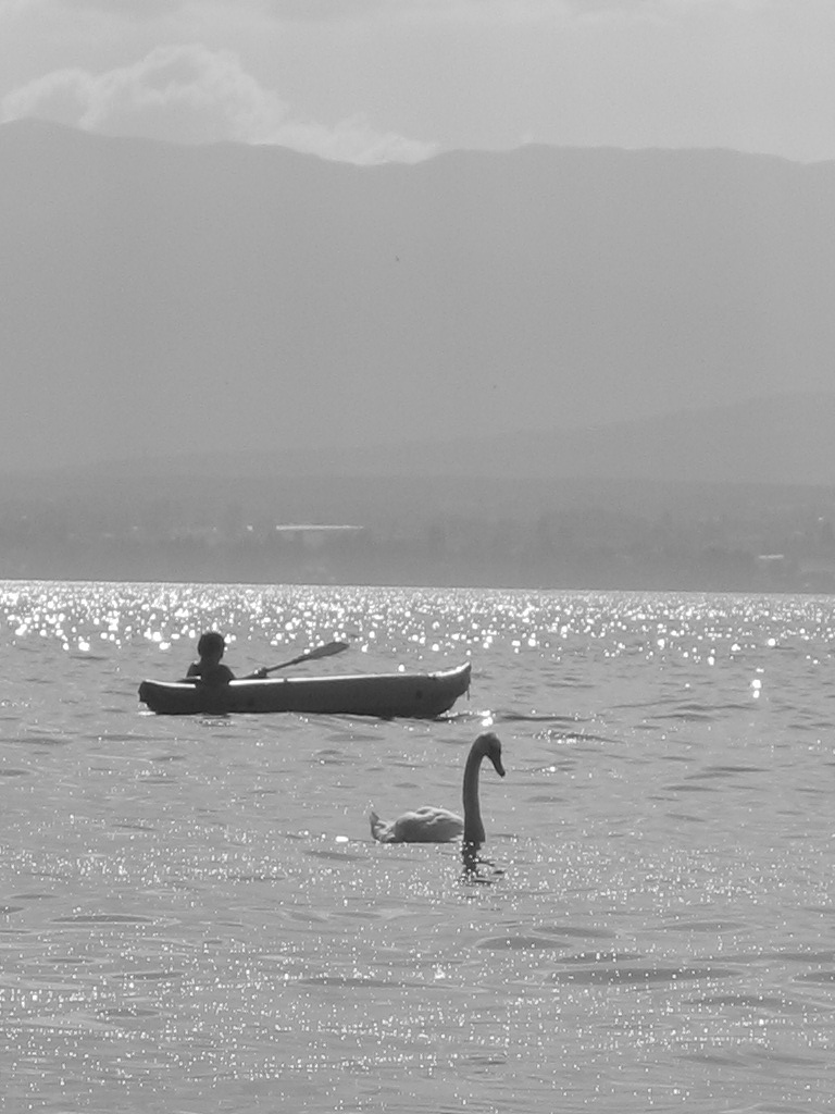 Wallpapers Nature Lakes - Ponds lac de geneve