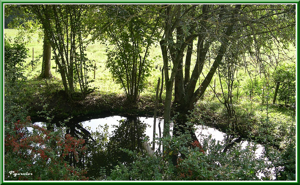 Fonds d'cran Nature Eau - Reflets Bord de rivire un jour d't.