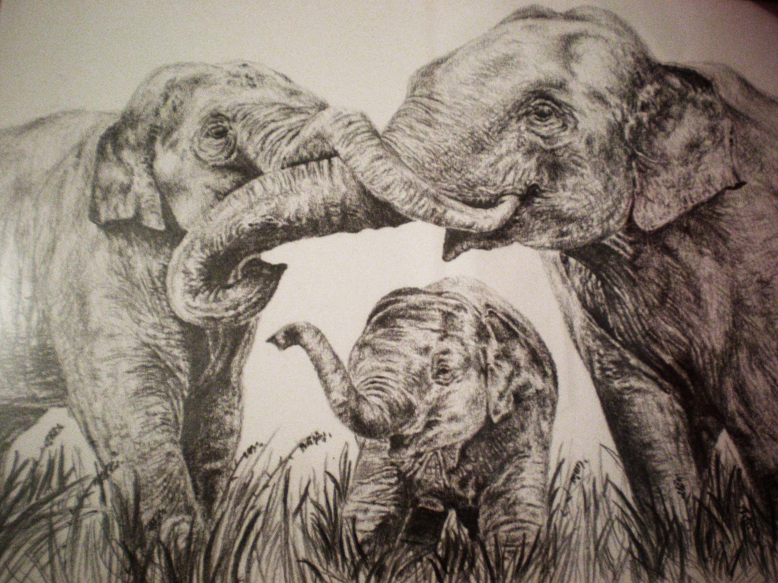 Fonds d'cran Art - Crayon Animaux - Elphants Jeu De Trompes Indiennes