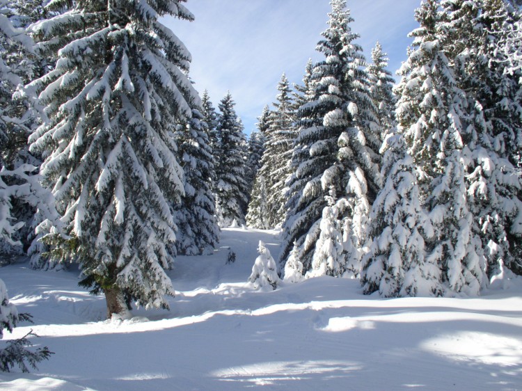 Fonds d'cran Nature Saisons - Hiver paysage enneig en haute savoie