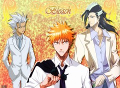 Wallpapers Manga Bleach Elegancy by rtk12