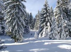 Fonds d'cran Nature paysage enneig en haute savoie