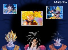 Fonds d'cran Manga Sangoku