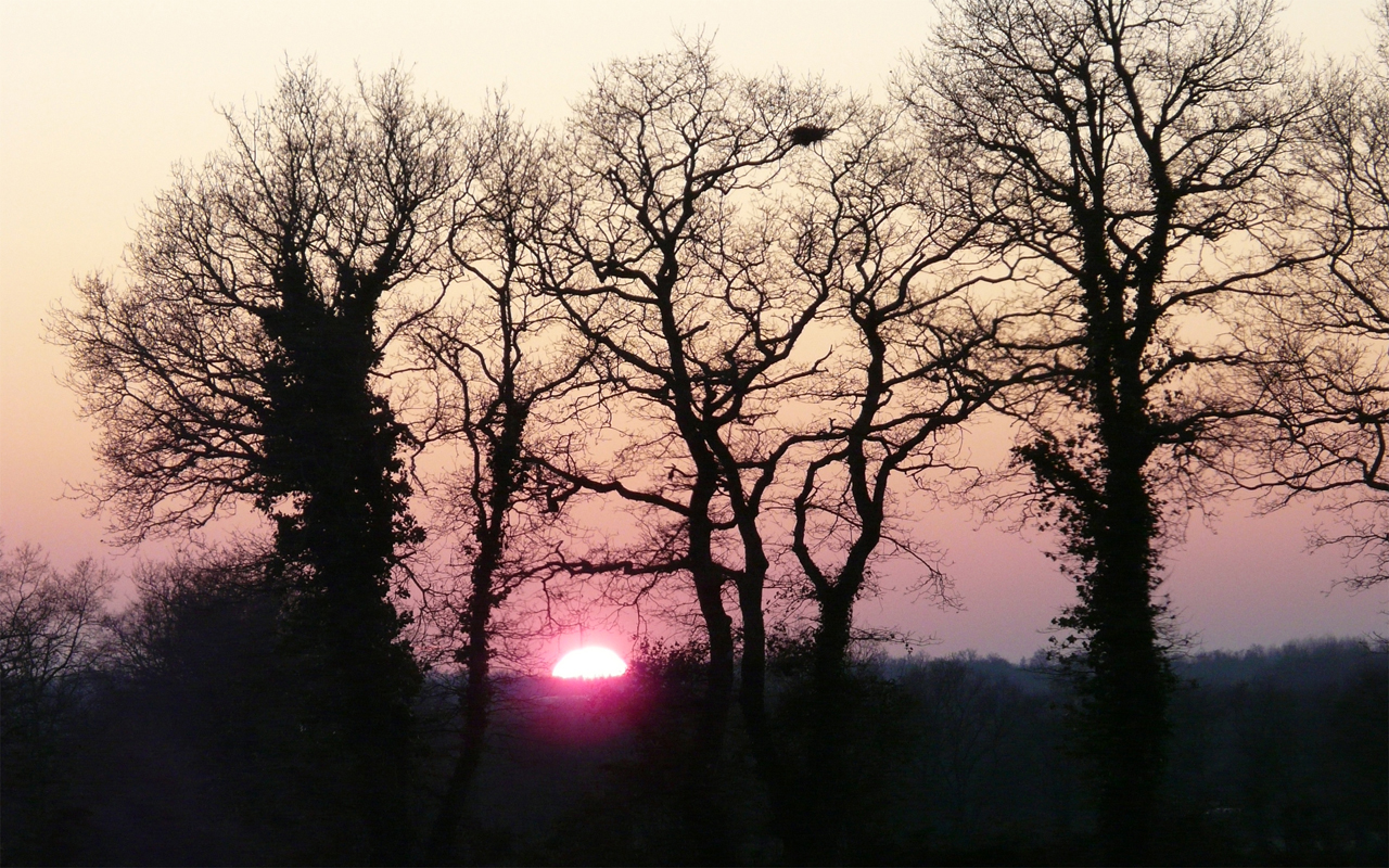 Fonds d'cran Nature Couchers et levers de Soleil 