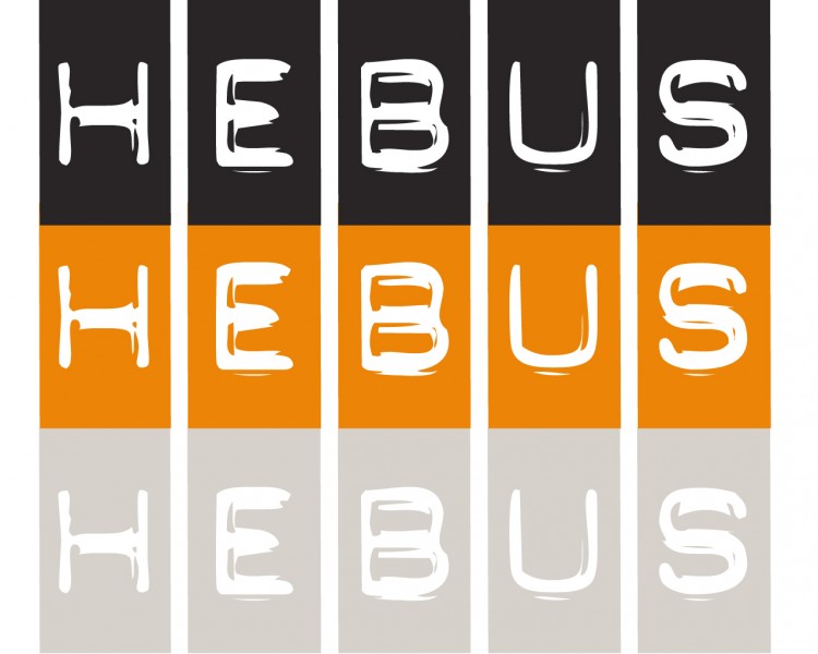 Fonds d'cran Grandes marques et publicit Sites web - Hebus hebus play