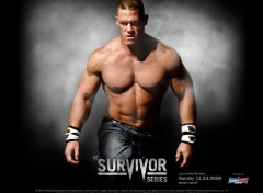 Wallpapers Sports - Leisures survivor series 2008