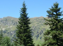 Fonds d'cran Nature PYRENEES