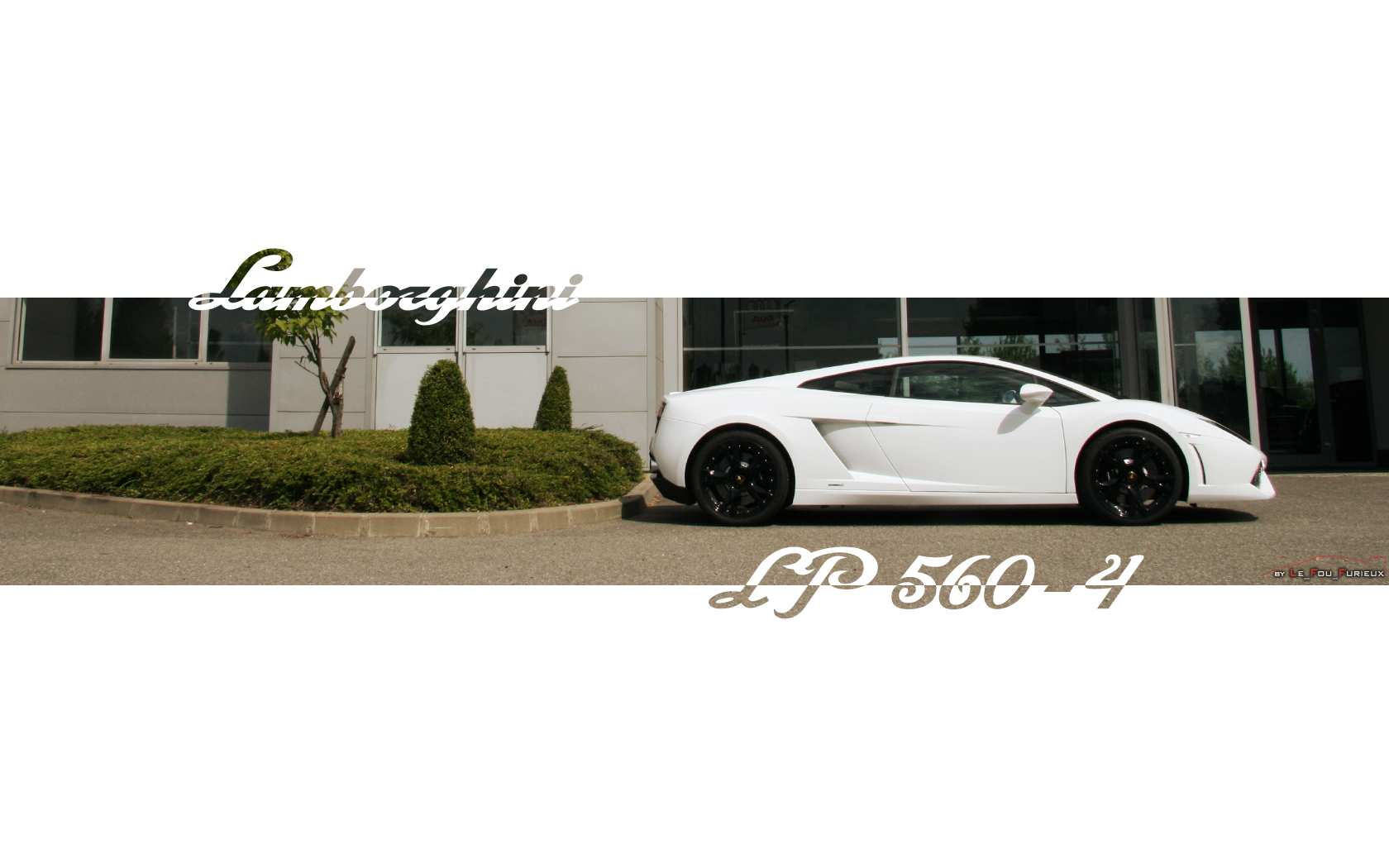 Wallpapers Cars Lamborghini Lamborghini Gallardo LP560-4