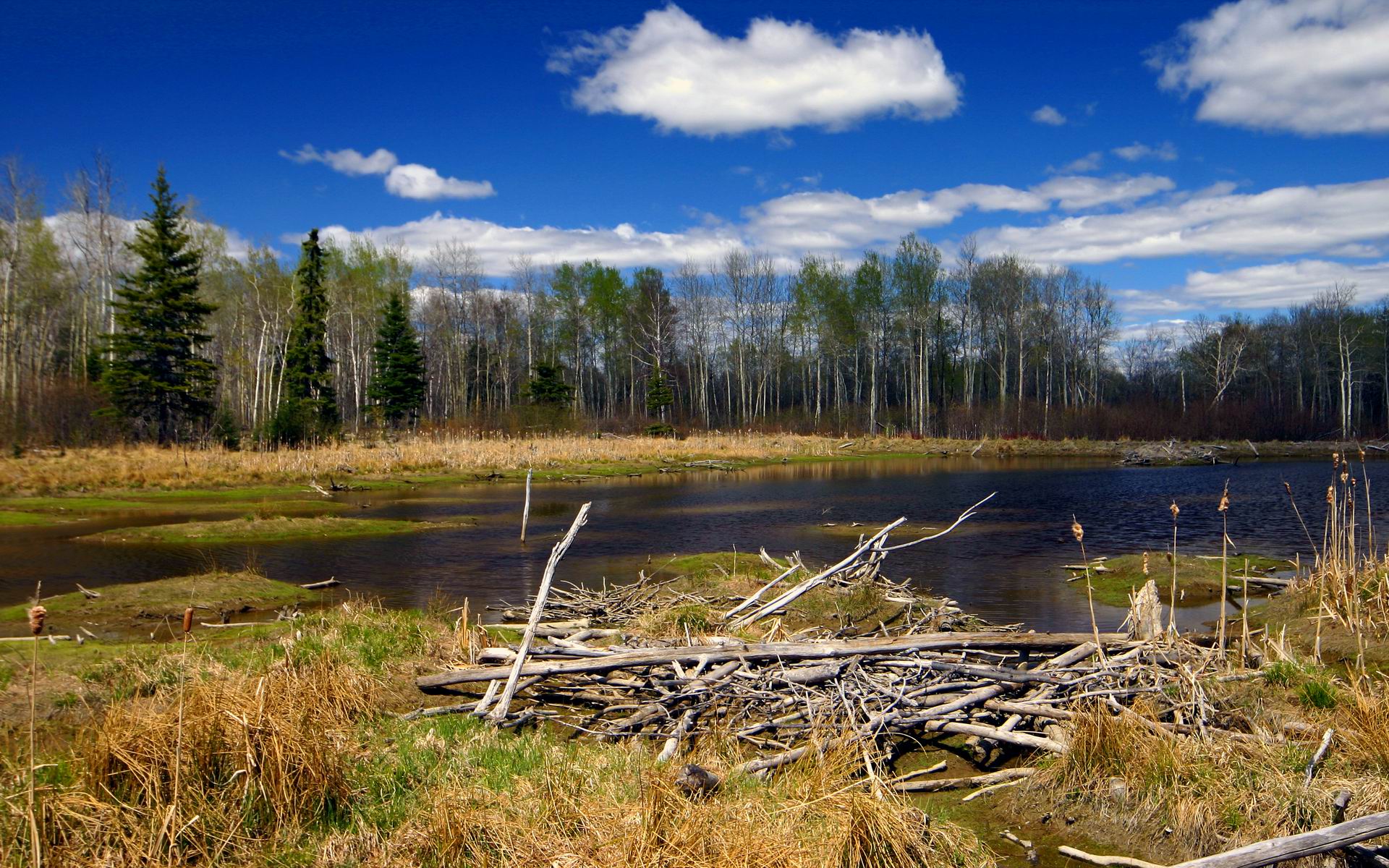 Wallpapers Nature Lakes - Ponds Le Ravage