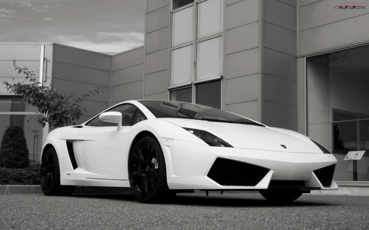 Wallpapers Cars Lamborghini Lamborghini Gallardo LP560-4