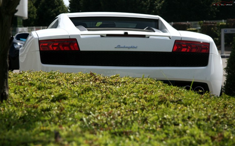 Fonds d'cran Voitures Lamborghini Lamborghini Gallardo LP560-4