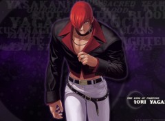 Fonds d'cran Jeux Vido Iori Yagami - The King of Fighters