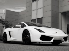 Fonds d'cran Voitures Lamborghini Gallardo LP560-4